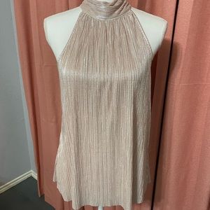 Express Soft Pink Sleeveless Pleated Blouse